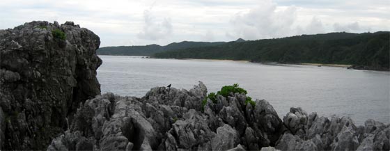 dangai