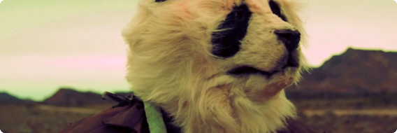 核戦争後の荒廃した世界に降り立った一匹のパンダ。パンダ版フォールアウトの世界「wastelander panda」