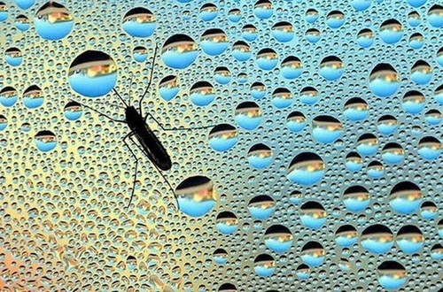 national_geographic_moments_47