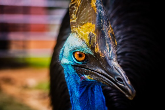 03iStock-908647836_e