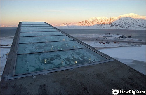 seedvault006