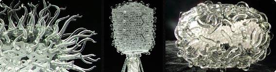 もやしもんファン胸熱！？病原菌をガラス細工で完全再現「Glass Microbiology」