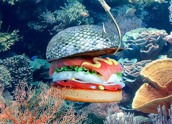 これがバーガーインパクト。世にも奇妙なハンバーガーのレシピ本「カミカゼの肝臓と大胆な胃袋」の中身とは？