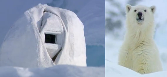 なんださか！こんなさか！シロクマを間近で撮影する為に開発されたカメラロボットが凄くがんばってる！