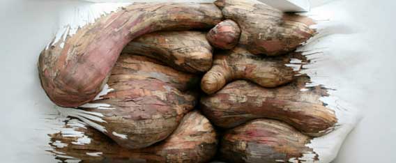 うねる！とぐろを巻く！壁や床から突き抜ける、不気味な木に覆われた廃材アート