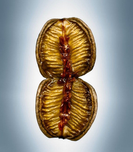 16_e6