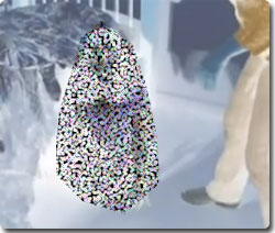 べd