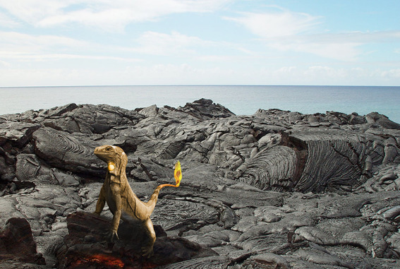 wfdj_A_Wild_Charmander_Appears_by_Ikioi