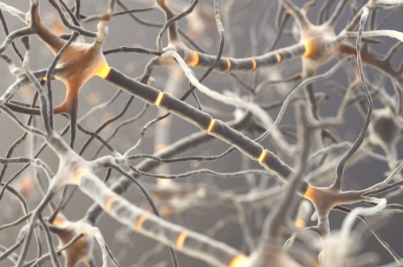 本物同様に機能する人工ニューロンが開発される（スウェーデン研究）