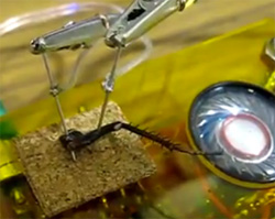 ゴキブリの足を使って楽器を作り演奏させるマシーン・・・