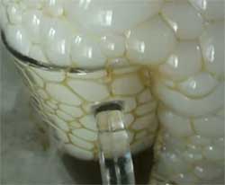 ホットコーヒーにドライアイスを入れて活火山的なものをつくる実験