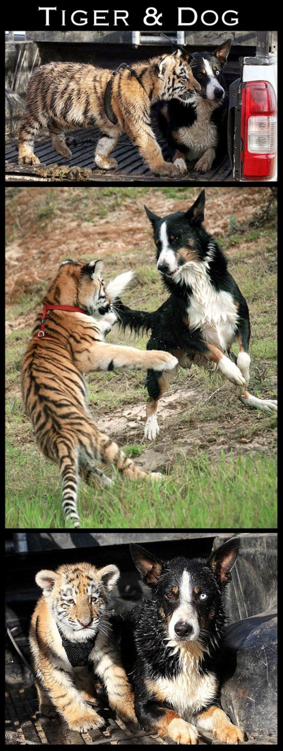 friendships_27_e