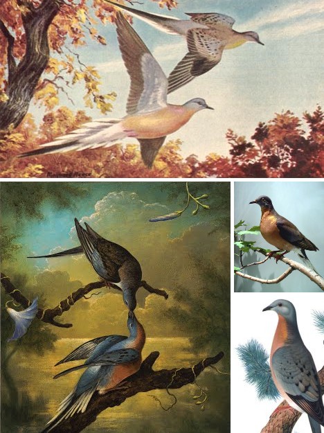 animal_migrations_10a