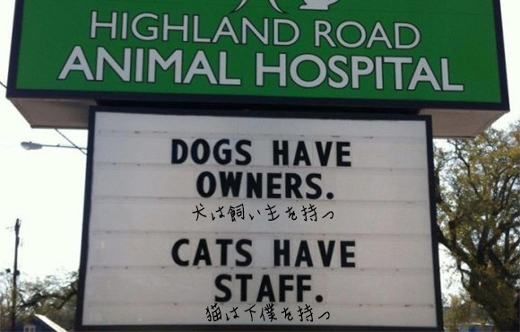アメリカの動物病院の看板が笑わせにかかってる件