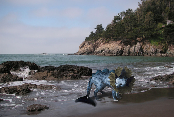 wfdj_A_Wild_Vaporeon_Appears_by_Ikioi