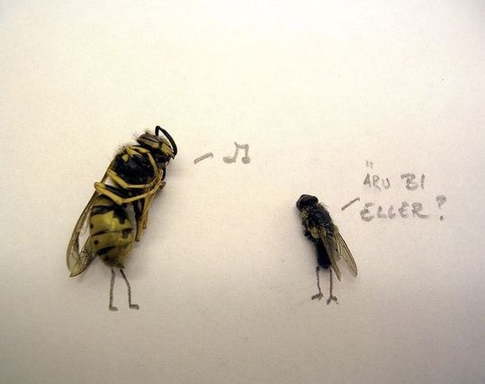 dead_flies_09
