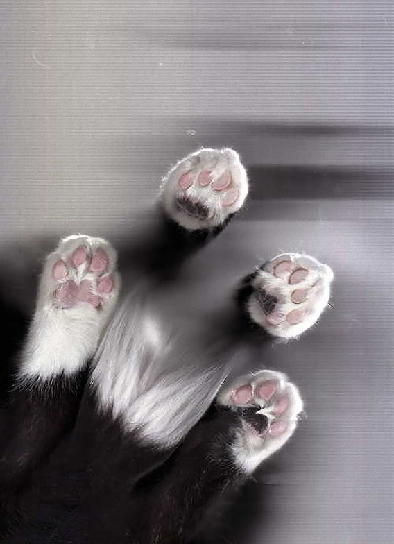 13_e
