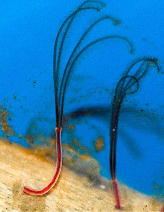 9_e2