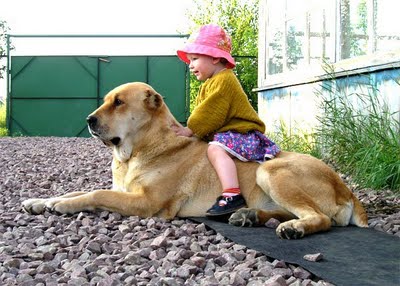 kids-and-animals-26