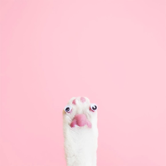 3_e8