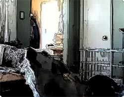 ポルターガイストのある家