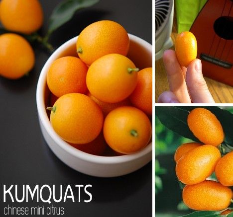 amazing_fruits_8