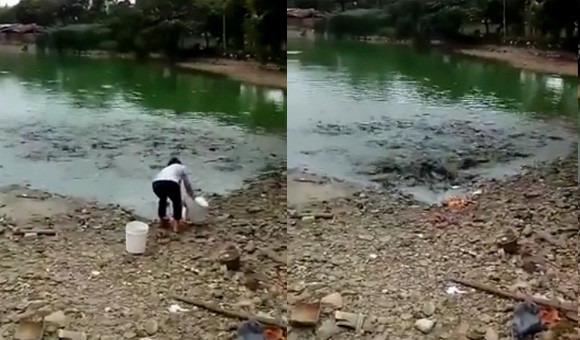 えらいこっちゃ、えらいこっちゃ！貪欲な魚が水陸両用に進化した！