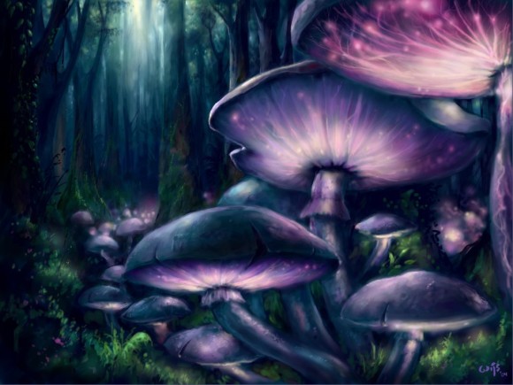 6_e25