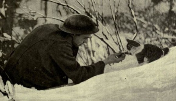 第一次世界大戦中、大活躍した猫たちの歴史的写真