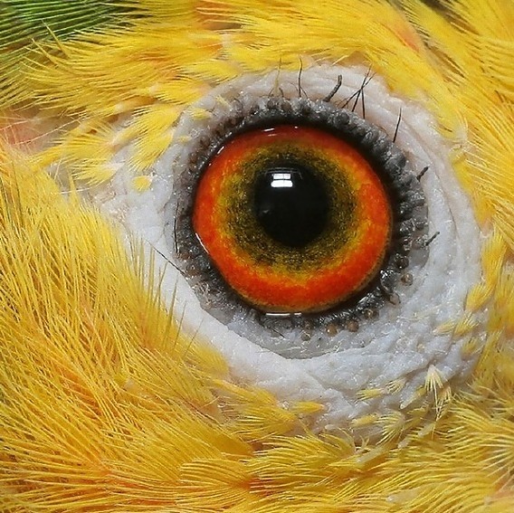 6_e
