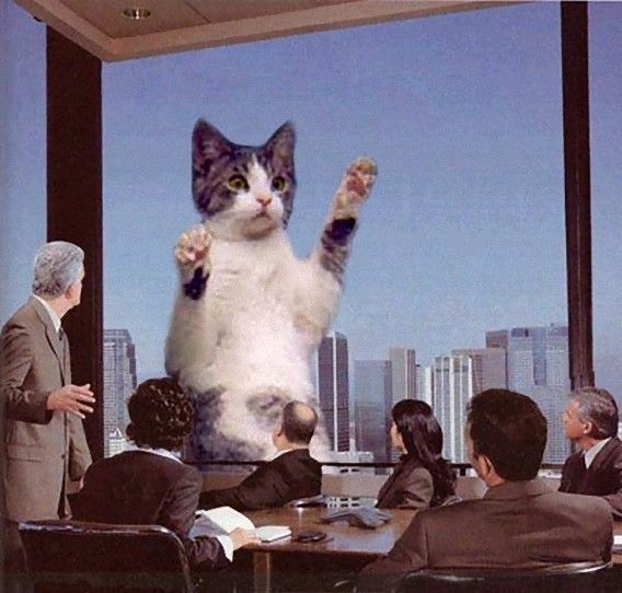 catzilla_atack_19_e