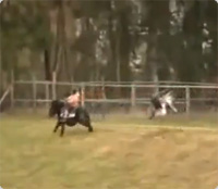 第２コーナーで騎手を追い詰めるダチョウ