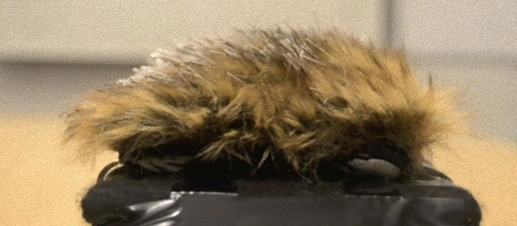 これは飼いたい！触るだけで意思の疎通ができてしまうモフモフロボット「カドルポット」が開発される（カナダ）