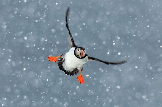 national_geographic_19