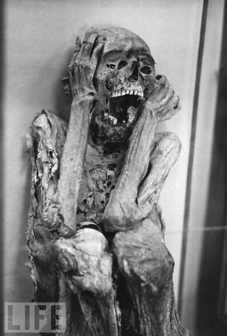 amazing_mummies_21