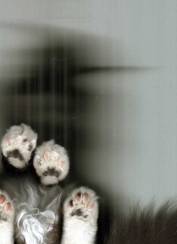 7_e
