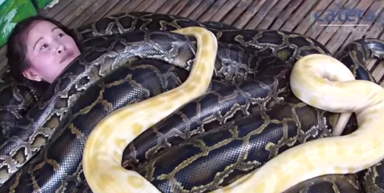 ヘビの生き埋め。フィリピンの動物園がはじめた新サービス