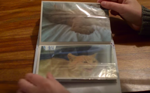 cat2