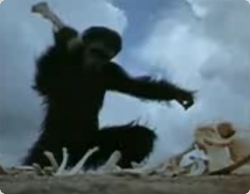 戦争エヴォリューション：12の映画をつなぎ合わせて見る戦いの歴史