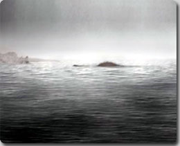 フランスのセーヌ川で目撃された水棲の未確認生物