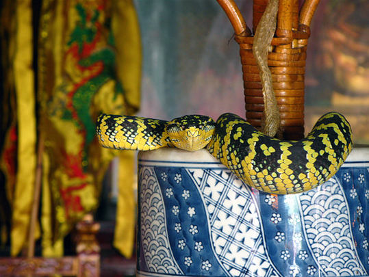 Snake-Temple-Penang