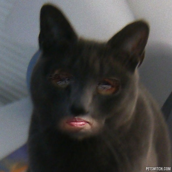 8_e14