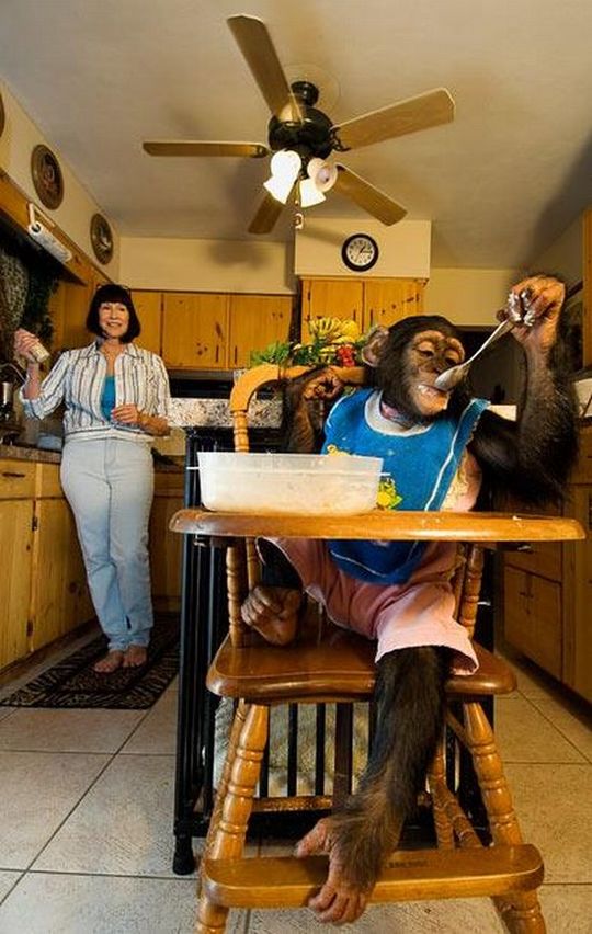 most_unusual_pets_02