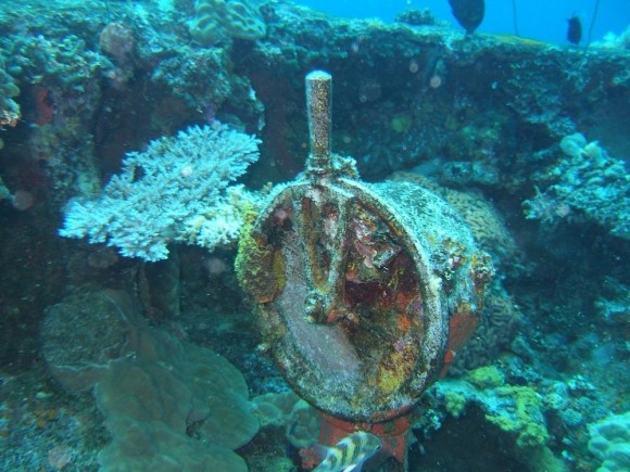 かつてトラック島と呼ばれたサンゴ礁：チューク環礁に眠る日本軍の軍艦墓地