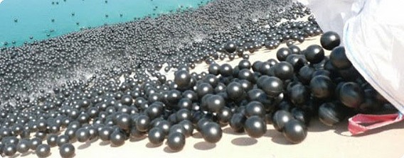 真っ黒に染まる池。300万個の黒いボールが水面を覆う米ロサンジェルス、アイバンホー貯水池