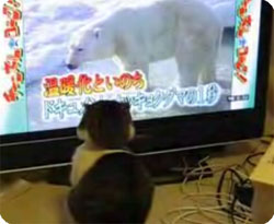 温暖化