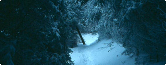 アパラチア山脈の山道、3540キロメートルを5分間でハイキングした気分になれる一次視点早回し映像「グリーン・トンネル」