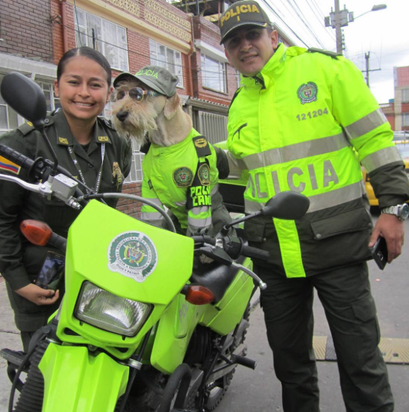 police8_e