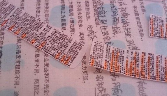 easy_to_make_cheat_sheet_from_china_640_09