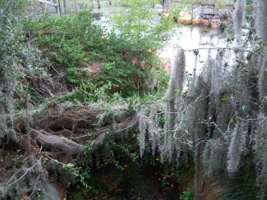 RiverCountry053